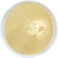 Condensed milk Condensed milk